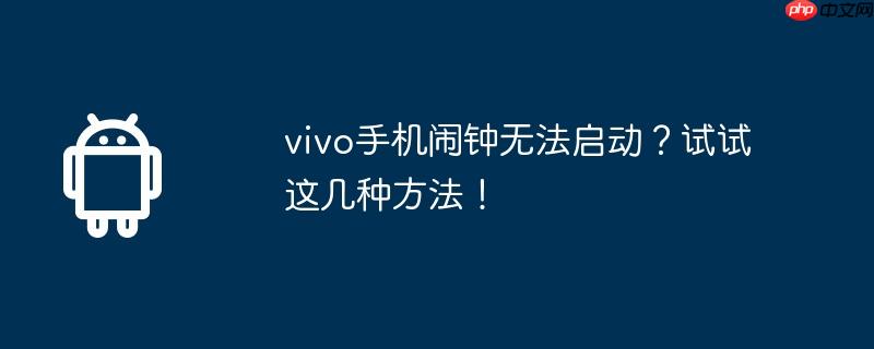 vivo手机闹钟无法启动？试试这几种方法！