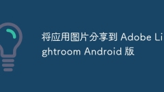 Share app images to Adobe Lightroom Android