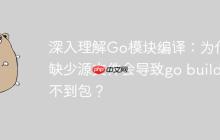 深入理解Go模块编译:为什么缺少源文件会导致go build找不到包?
