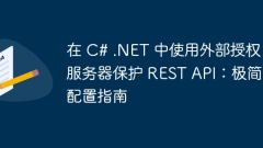 Protecting REST API with External Authorization Server in C# .NET: A Minimalist Configuration Guide