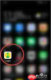 怎样使QQ音乐展示听歌动态