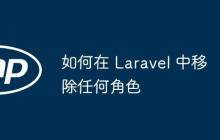 如何在 Laravel 中移除任何角色