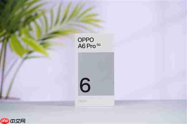 开启手机6年耐用新时代！OPPO A6 Pro图赏