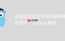 向进程发送信号后如何等待其完成:Golang 教程