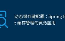 动态缓存键配置：Spring Boot 缓存管理的灵活应用