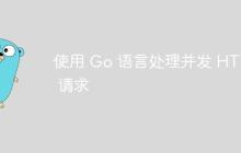 使用 Go 语言处理并发 HTTP 请求