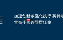 加速创新与强化执行 英特尔宣布多项领导层任命