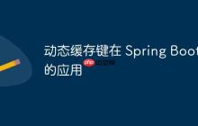 動(dòng)態(tài)緩存鍵在 Spring Boot 中的應(yīng)用