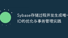 Optimization and transaction management practice of Sybase stored procedures and unique IDs