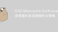 Gae Memcache Go ? Java ?? ?? ? ?? ?? ?? ? ??