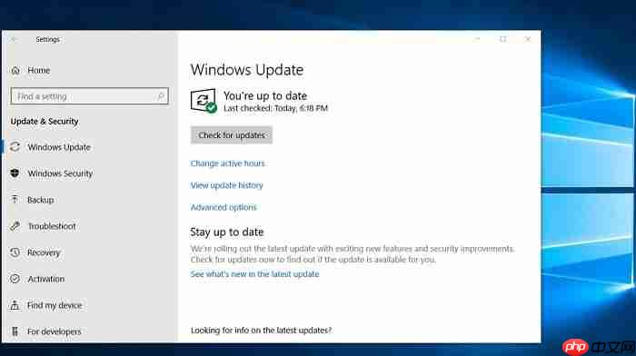 Win10 1909（19H2）更新，更多细节曝光