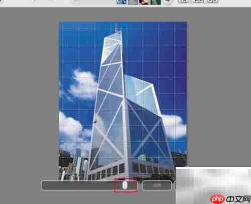Picasa修复图像弯曲技巧
