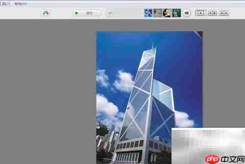 Picasa修复图像弯曲技巧