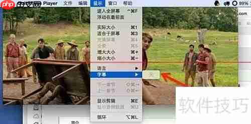 射手播放器自动匹配字幕方法