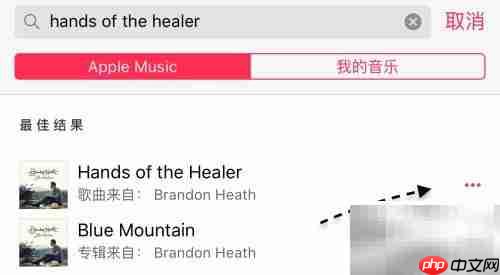 Apple Music离线下载教程