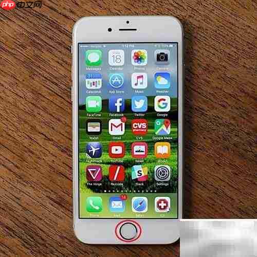 手机Home键位置在哪