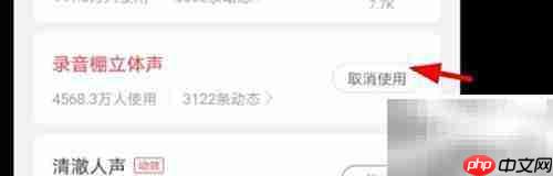 网易云录音棚立体声设置方法