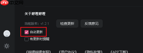 哔哩哔哩怎么设置自动更新