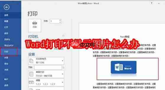 Word打印不显示图片怎么办