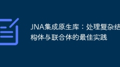 JNA集成原生庫(kù):處理複雜結(jié)構(gòu)體與聯(lián)合體的最佳實(shí)踐