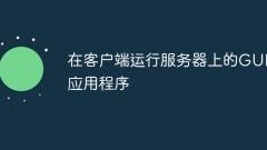 在客戶端運(yùn)行服務(wù)器上的GUI應(yīng)用程序