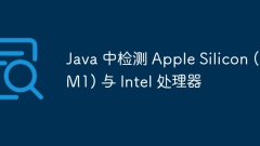 Java 中檢測(cè) Apple Silicon (M1) 與 Intel 處理器