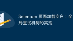 Selenium 頁(yè)面加載空白:全局重試機(jī)制的實(shí)現(xiàn)