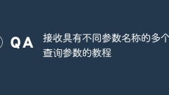 接收具有不同參數(shù)名稱的多個(gè)查詢參數(shù)的教程