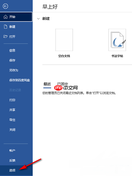 Word怎么启用实时预览功能