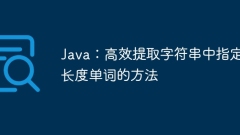 Java:高效提取字符串中指定長(zhǎng)度單詞的方法