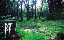 影响巨大！神谷英树希望小岛秀夫制作像《P.T.》的游戏