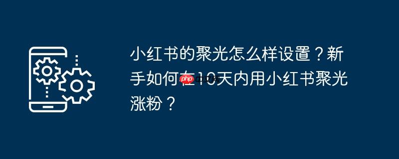 小红书的聚光怎么样设置?新手如何在10天内用小红书聚光涨粉?