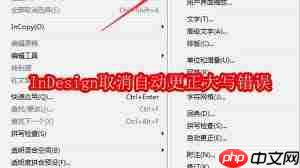 InDesign如何取消自动更正大写错误