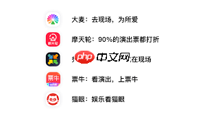 摩天轮的票和大麦的一样吗