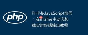 PHP与JavaScript协同：在Iframe中动态加载实时终端输出教程