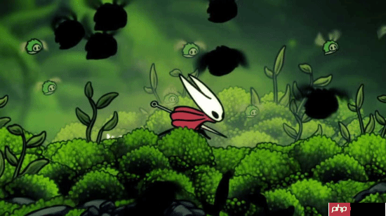 《空洞骑士:丝之歌》评价吓到外媒编辑:害怕太难不敢开坑