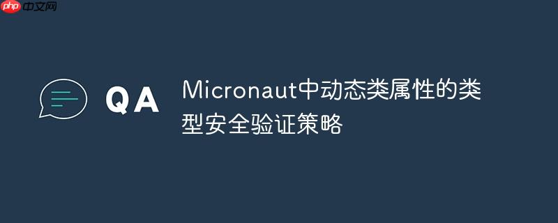 Micronaut中动态类属性的类型安全验证策略