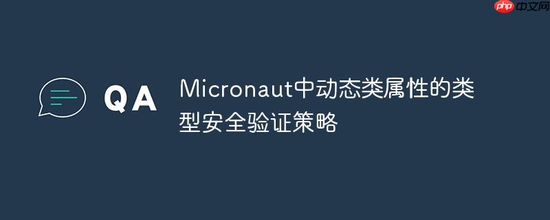 Micronaut中动态类属性的类型安全验证策略