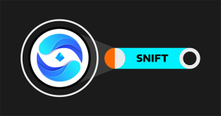 什么是 StarryNift (SNIFT) 币？功能作用、投资潜力以及未来介绍
