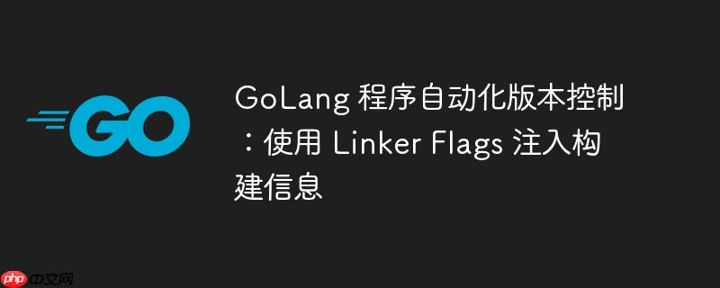 GoLang 程序自动化版本控制:使用 Linker Flags 注入构建信息