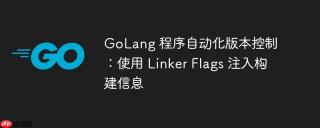 GoLang 程序自动化版本控制：使用 Linker Flags 注入构建信息