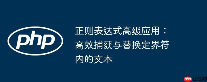 正则表达式高级应用：高效捕获与替换定界符内的文本
