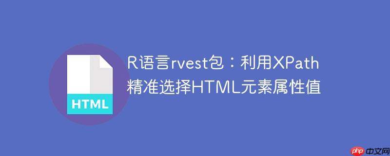 R语言rvest包：利用XPath精准选择HTML元素属性值
