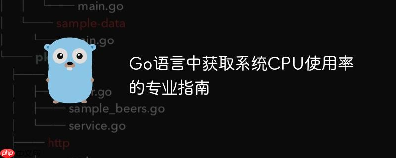Go语言中获取系统CPU使用率的专业指南