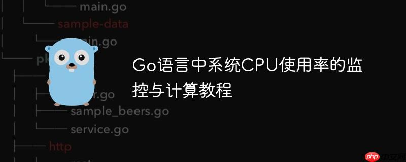 Go语言中系统CPU使用率的监控与计算教程
