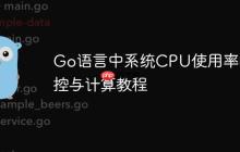 Go语言中系统CPU使用率的监控与计算教程
