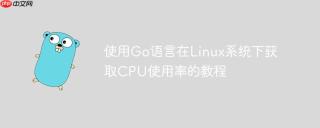 使用Go语言在Linux系统下获取CPU使用率的教程