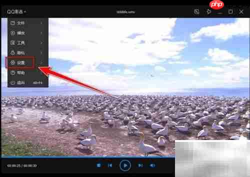取消QQ影音默认播放器方法