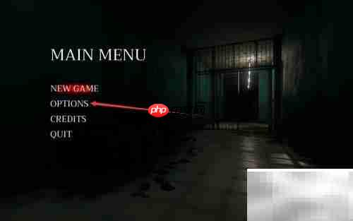 Home Sweet Home中文设置方法