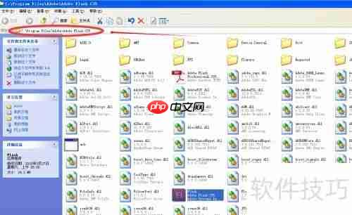 Flash CS5安装教程